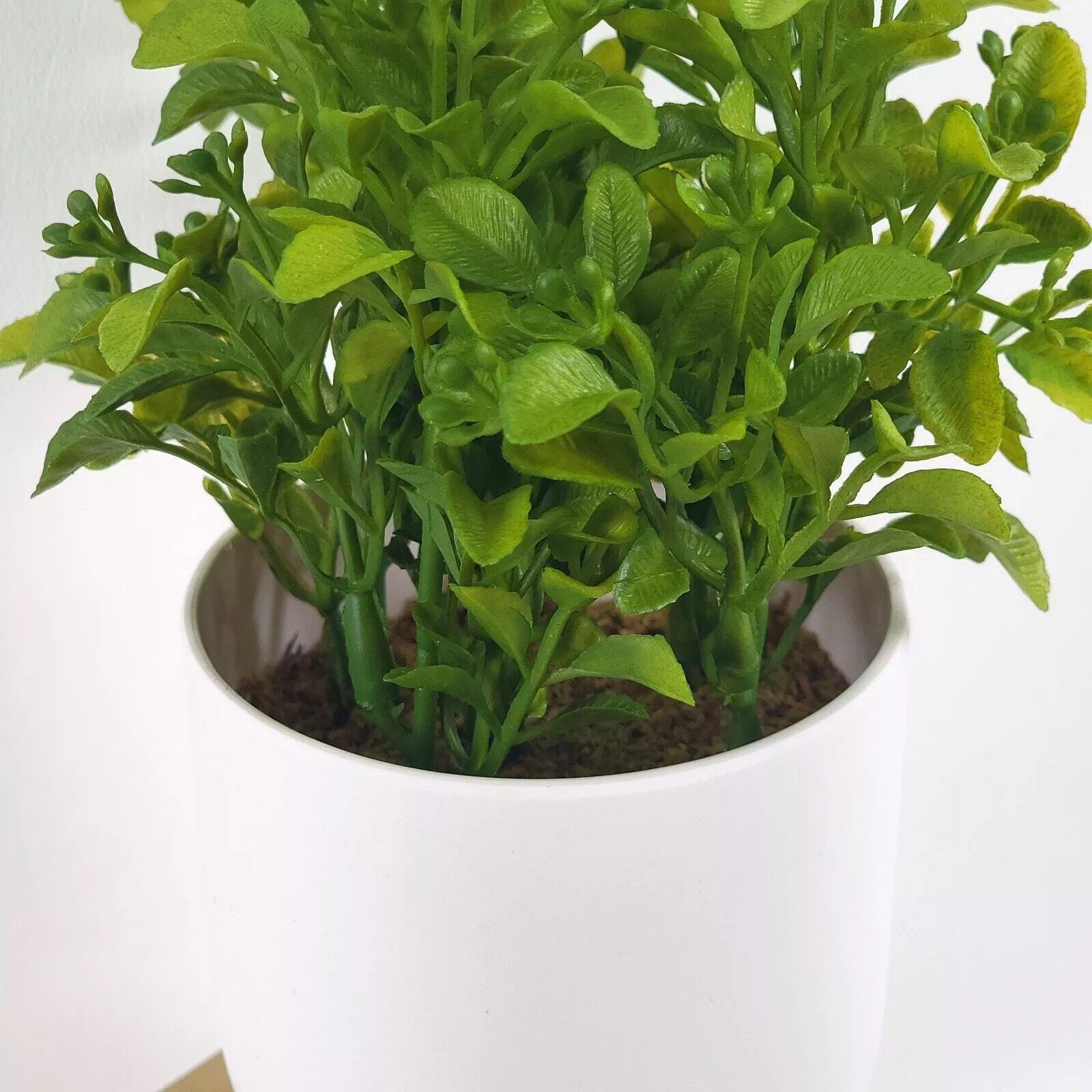 Threshold 8″ Faux Boxwood Potted Plant Home Office Decor NEW by Target