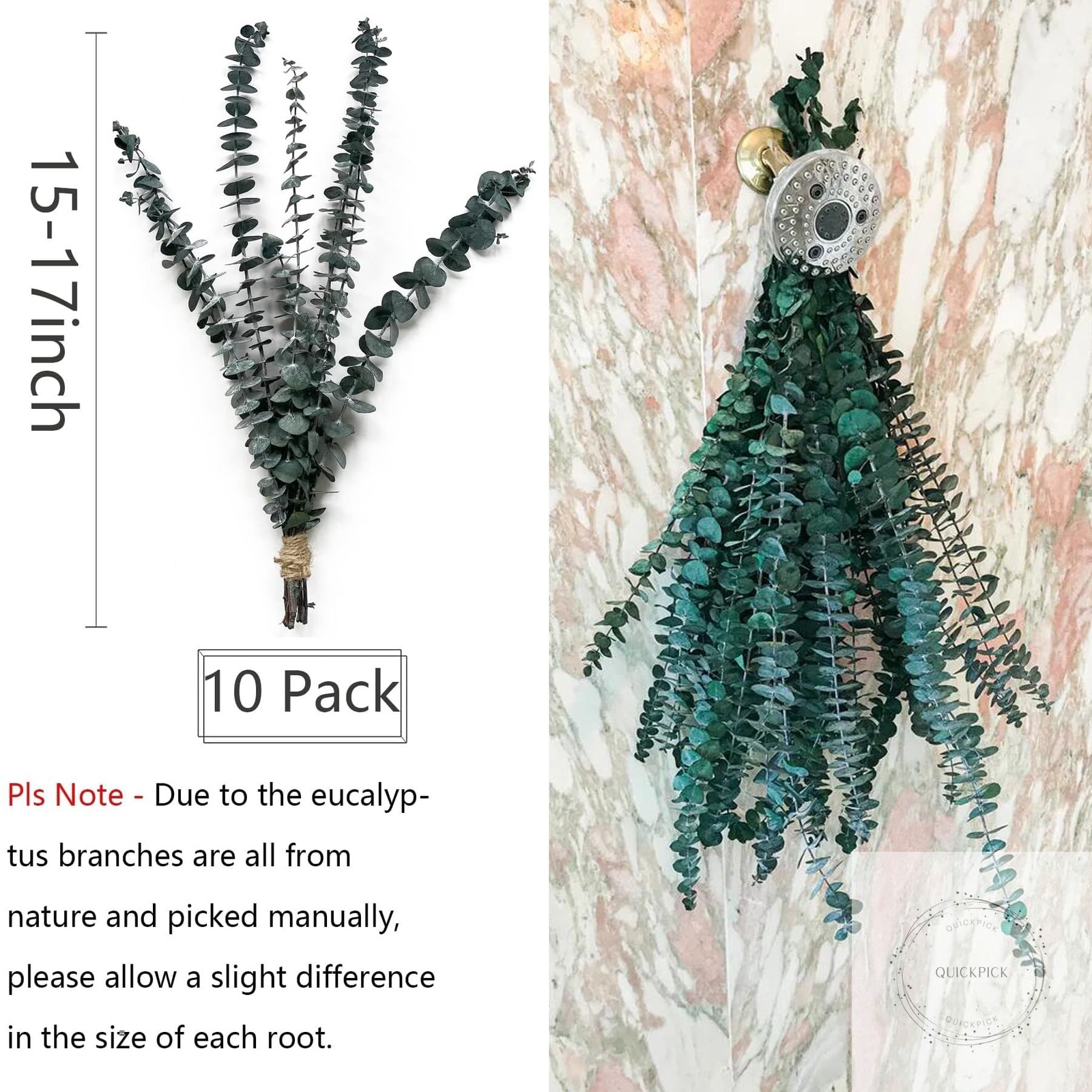 Eucalyptus for Shower 10 Pcs Hanging Dried Eucalyptu Stems 17″ Real Eucalyptus