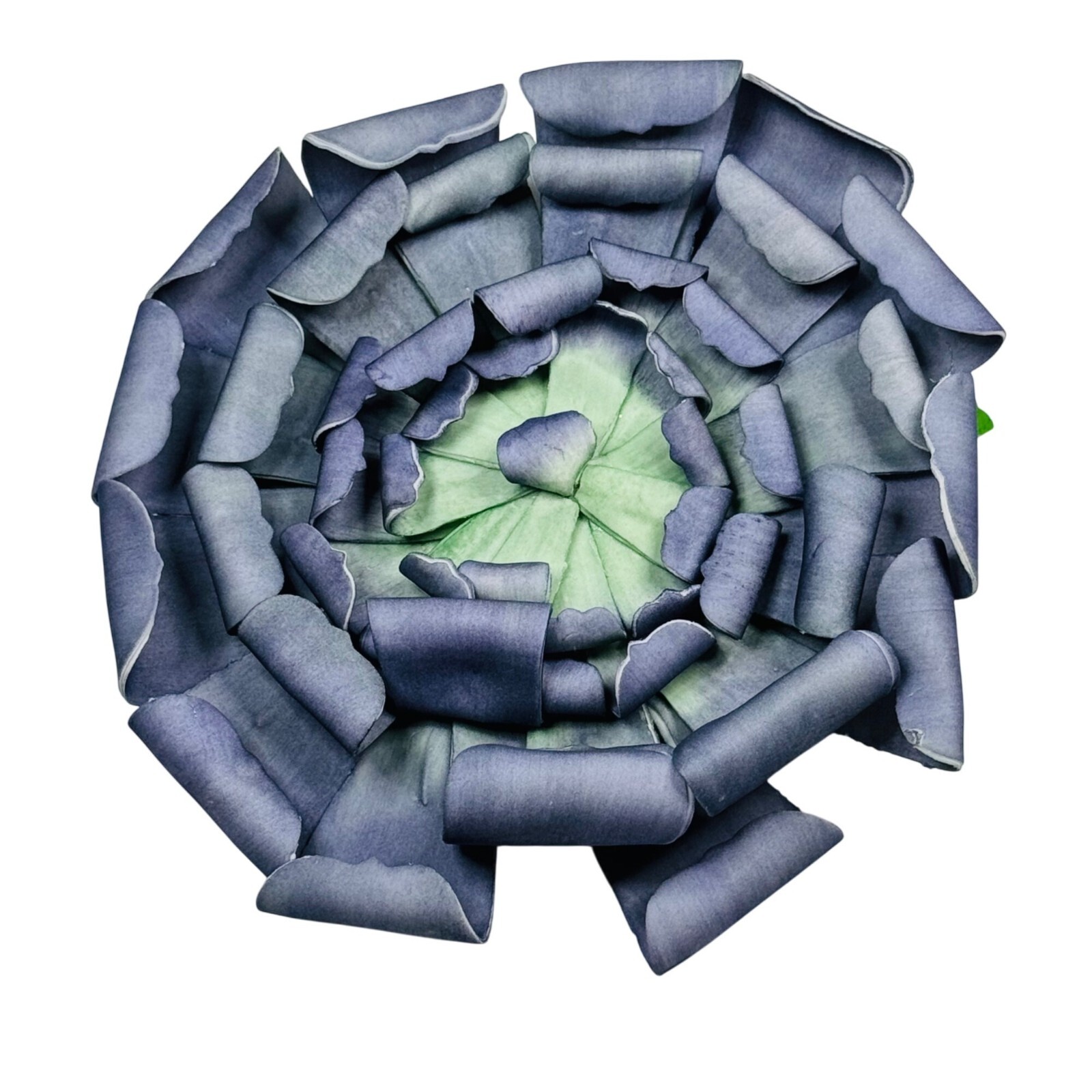 Ashland Blue and Green 12.5in Decorative Succulent Wall or Table Decoration