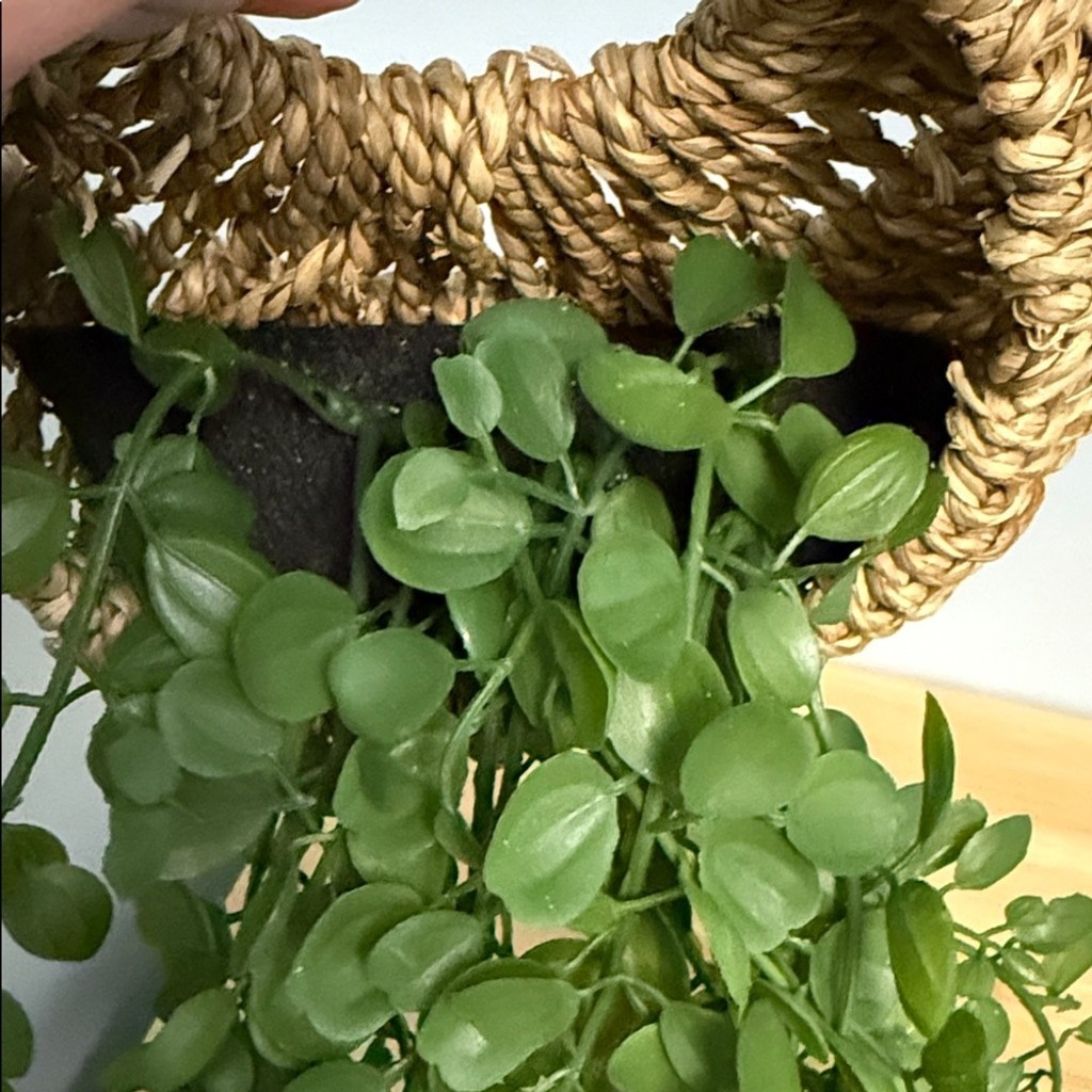 Fake Greenery in Hanging Woven Basket Dorm, Room, Apartment Decor