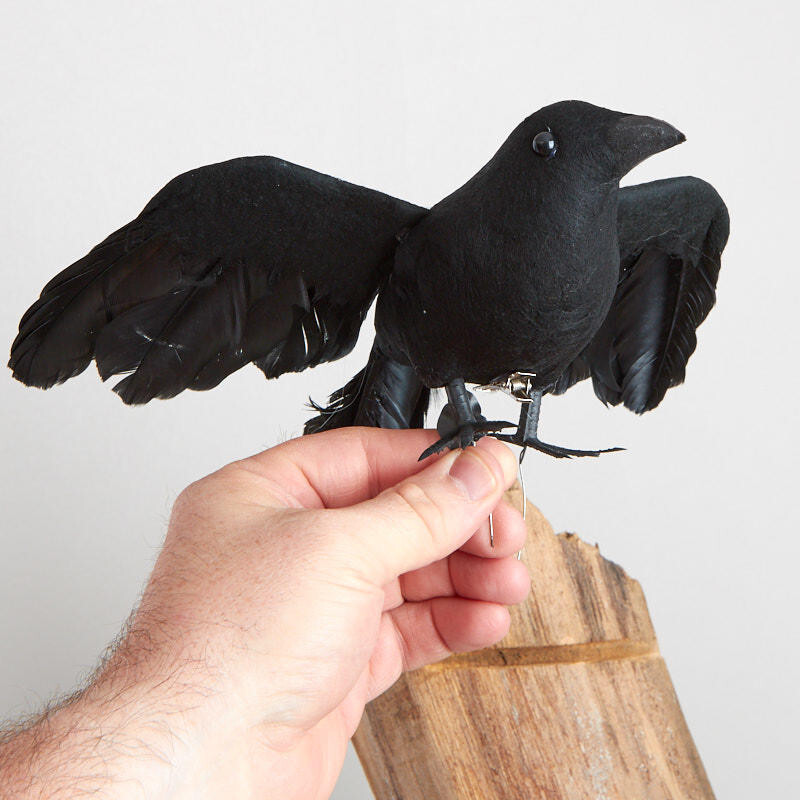 2 Black Feathered Flying 10″ Crow Birds with Attached Silver Clips