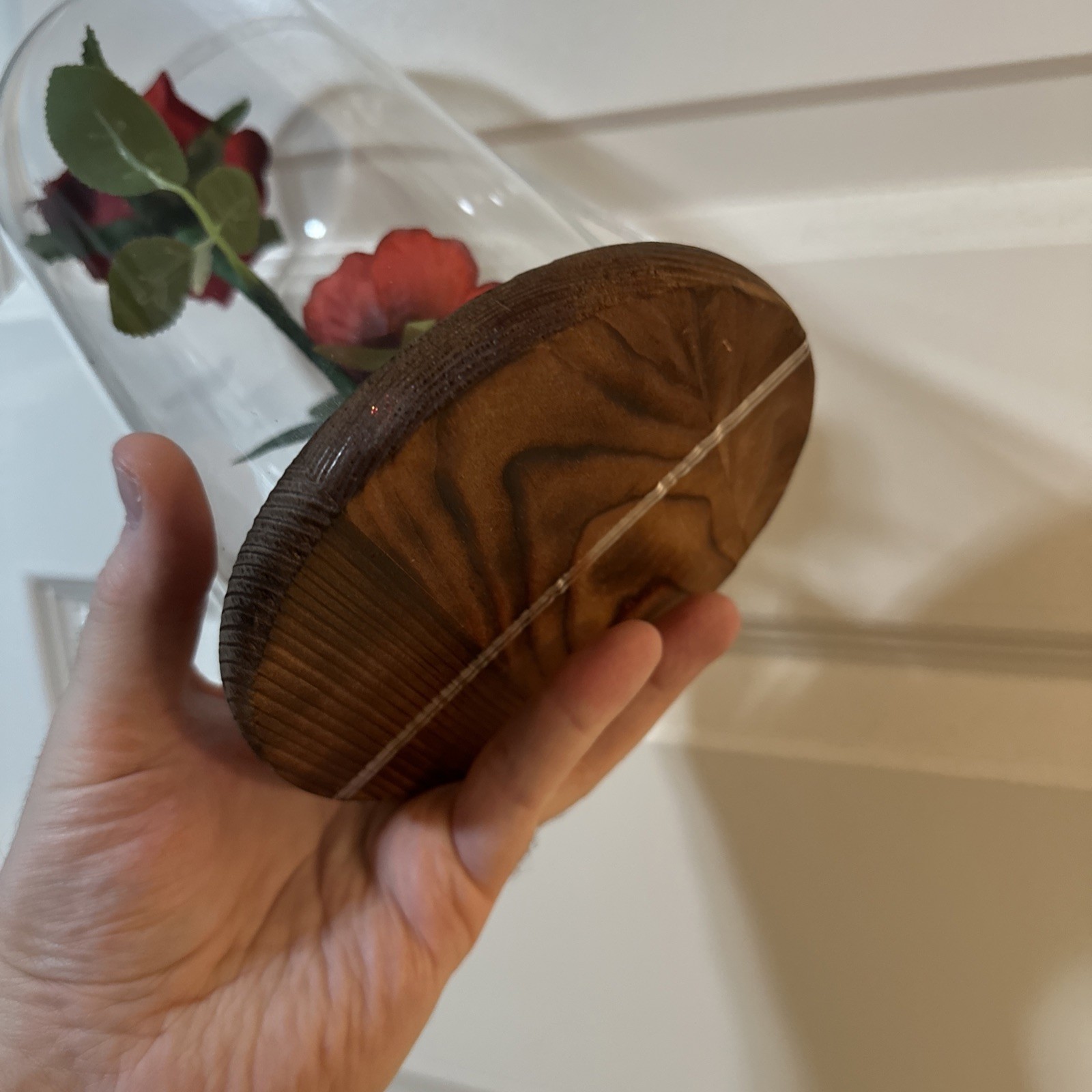 Rose In Glass Flower Dome Wood Base Pre-Drilled for Lights Beauty & The Beast