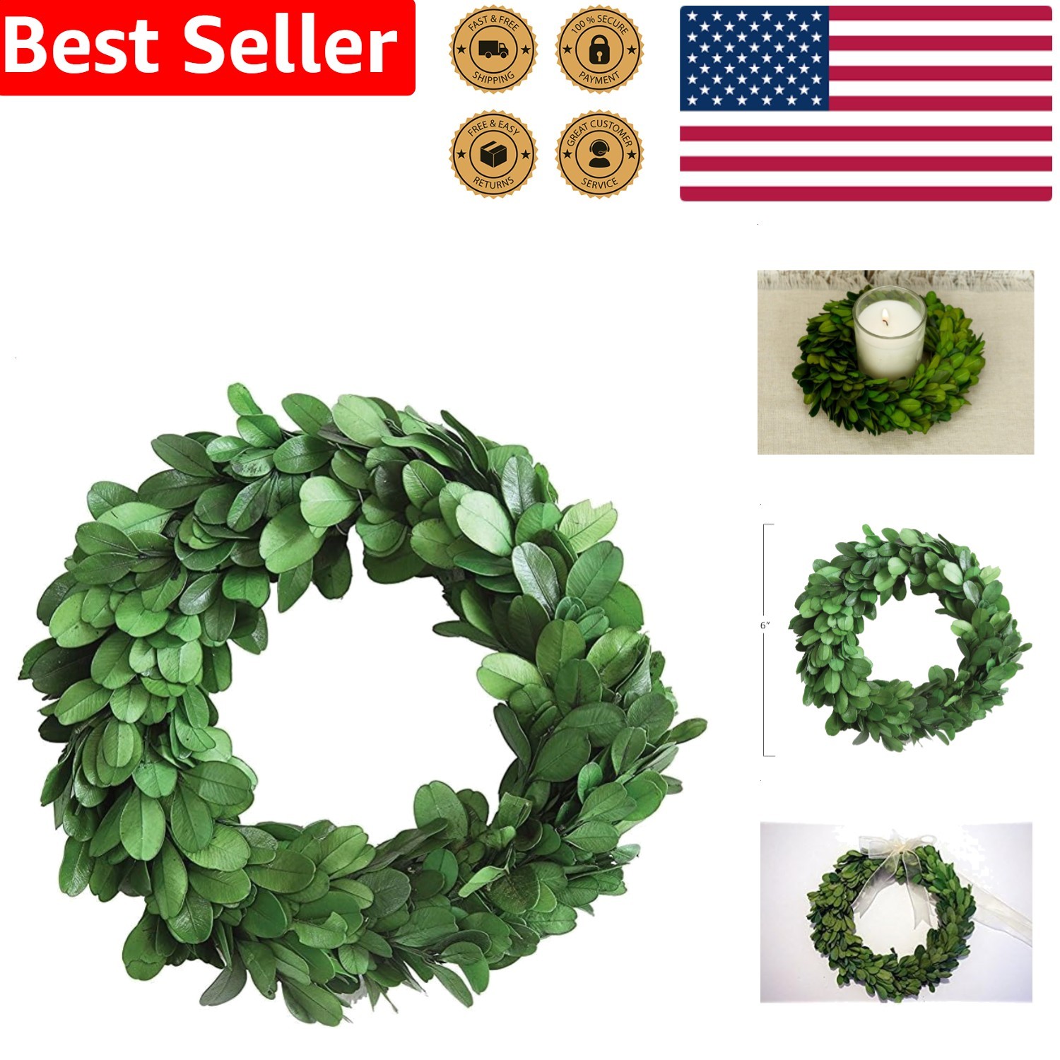 Preserved Boxwood Wreath Indoor Organic Greenery AccentSmall 6