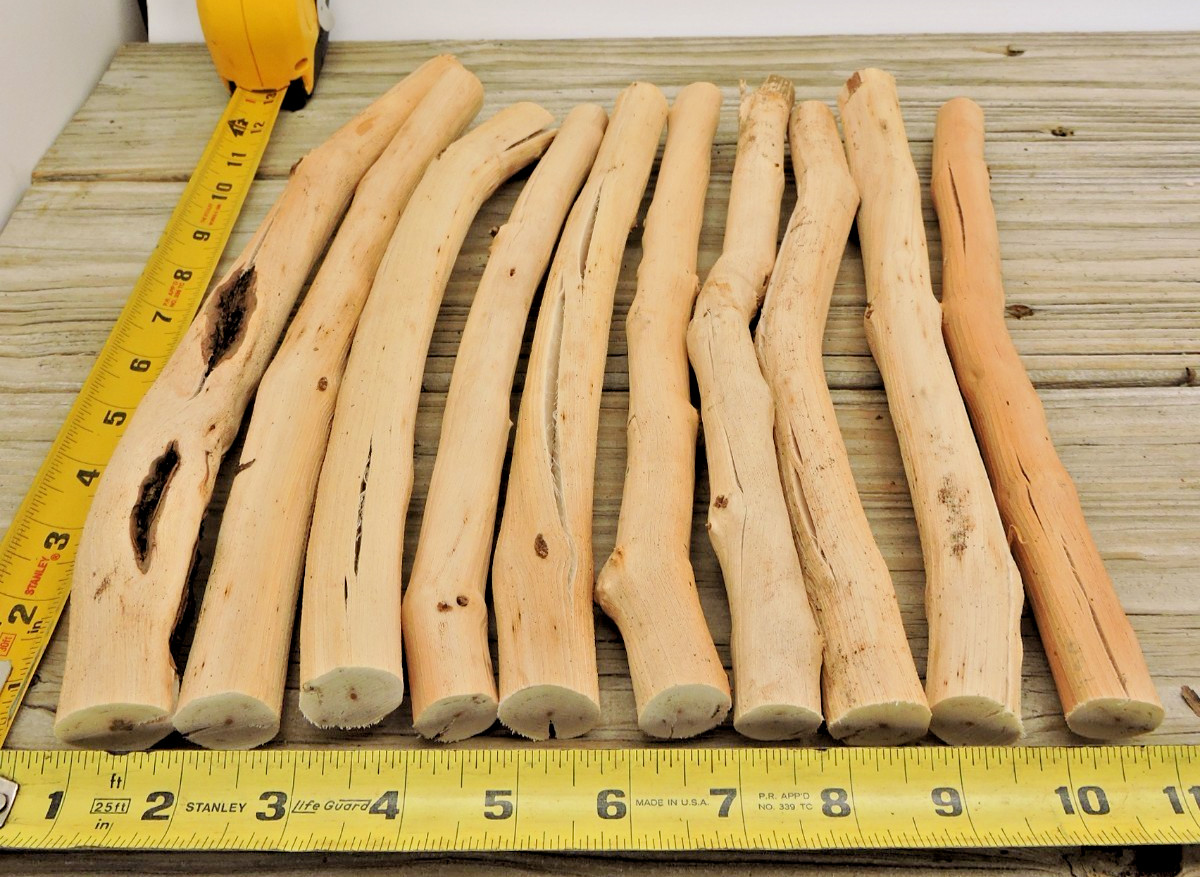 10 Grapevine Wood Stick Section 3/4~1 1/8″D 11~13″L Driftwood Decor Crafts