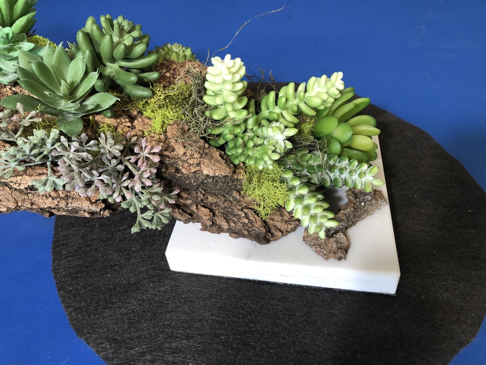Artificial Succulent Air Plant Home Office Mounted on Real Wood Bark and Stone