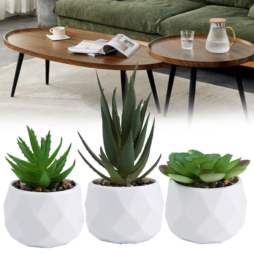 3pcs Elegant Artificial Succulent Plants for For home and Office Display