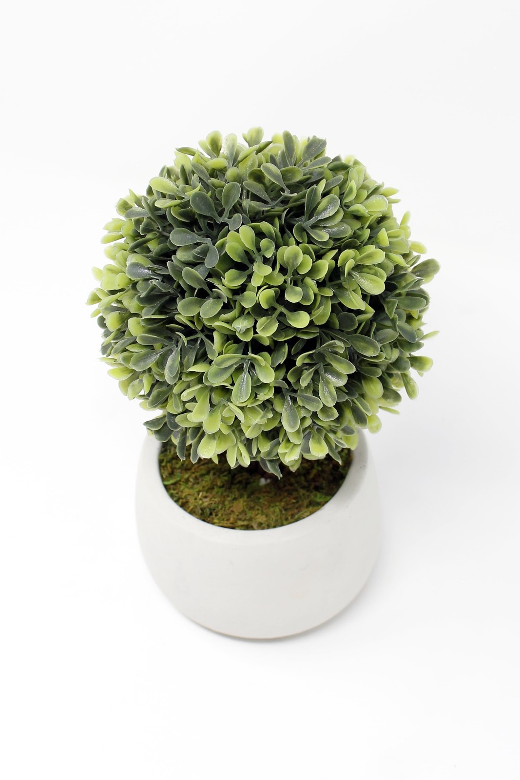 (2 pack 7.5″ Artificial Mini Boxwood Topiary in Gray Cement Planter