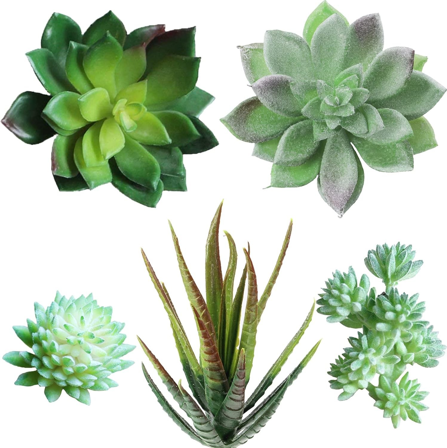 Fake Succulents Unpotted Realistic Plants Mini Artificial Succulent Plants