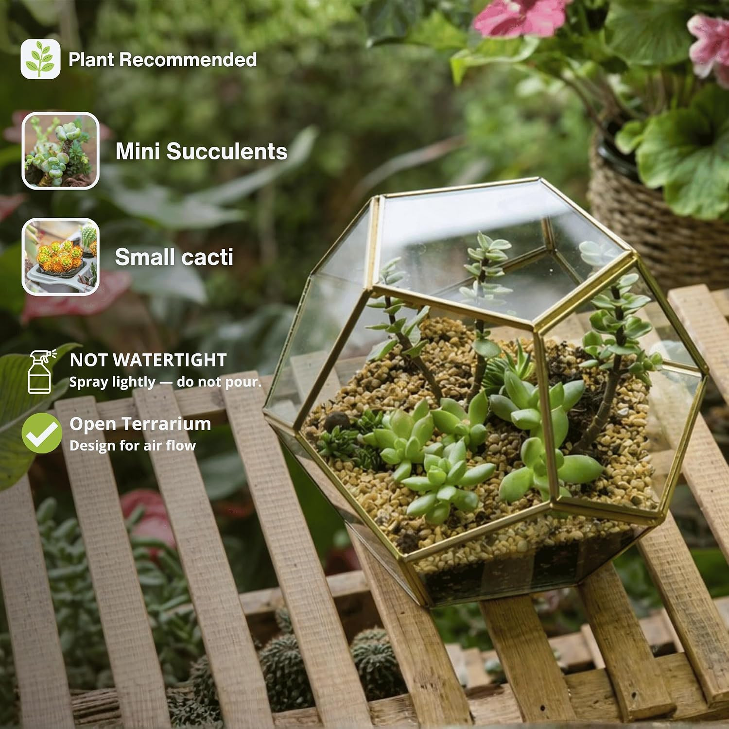 No Door Glass Terrarium for Small Cactus, Succulents – Gold Geometric Terrarium