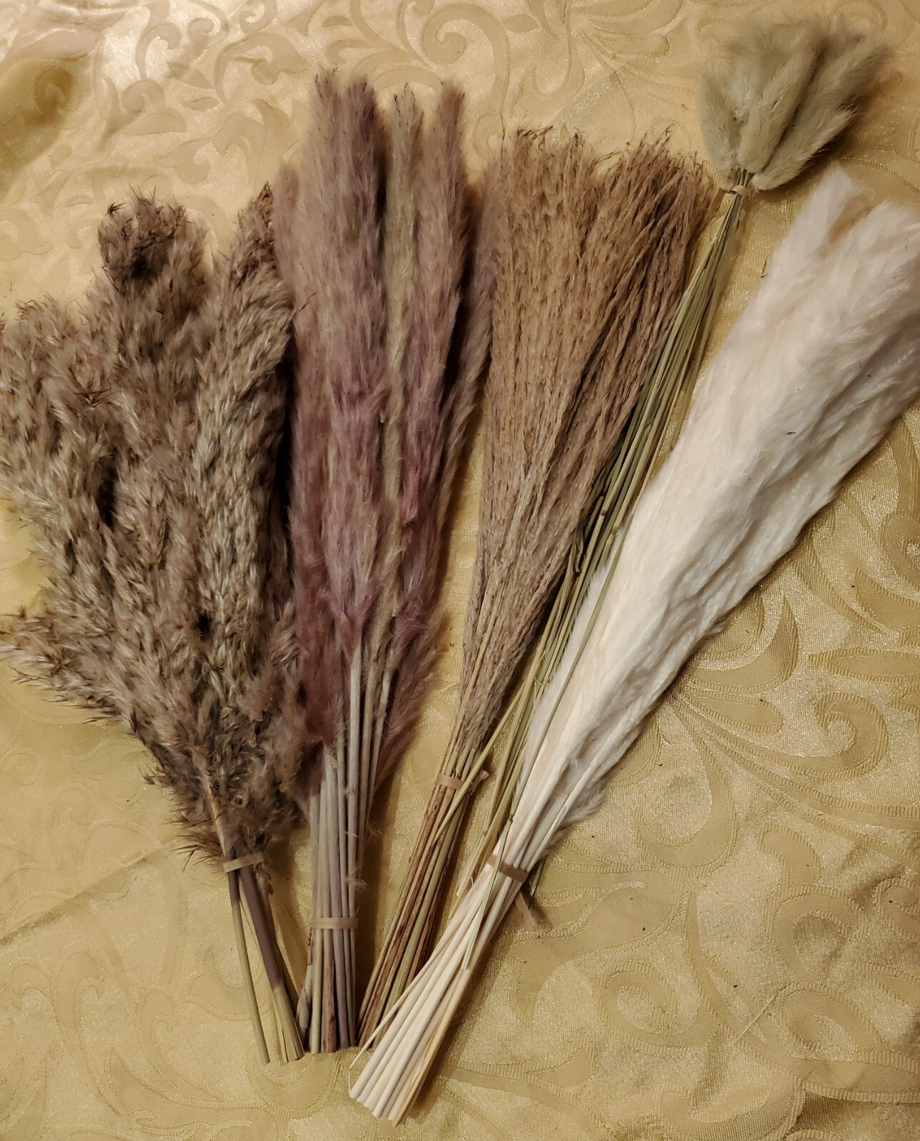 75-Piece Assortment Dried Pampas Grass Individual Stems White Browns 13″-17″ NIB
