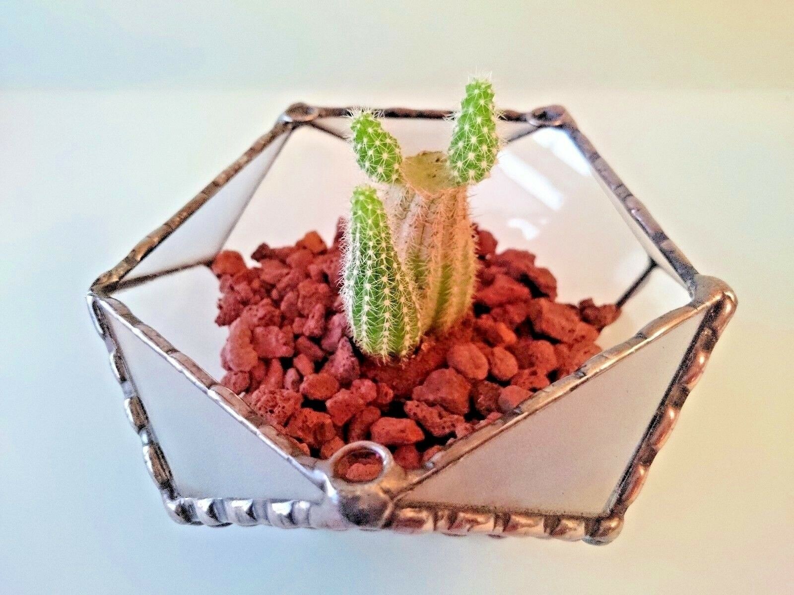 Stained Glass Dodecahedron Terrarium With 3 hooks with Copper Frame, Home Decor