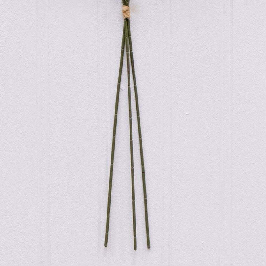 33″H Artificial Indoor Dried Rice Stem Bundle Set of 3 Parties Weddings Events