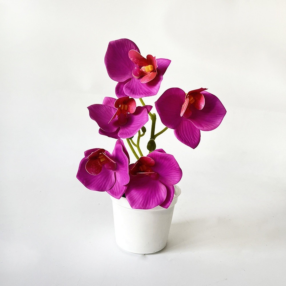 Artificial Orchid Flowers 5 Pcs 21cm Tall for Living Room Bedroom Office Decor