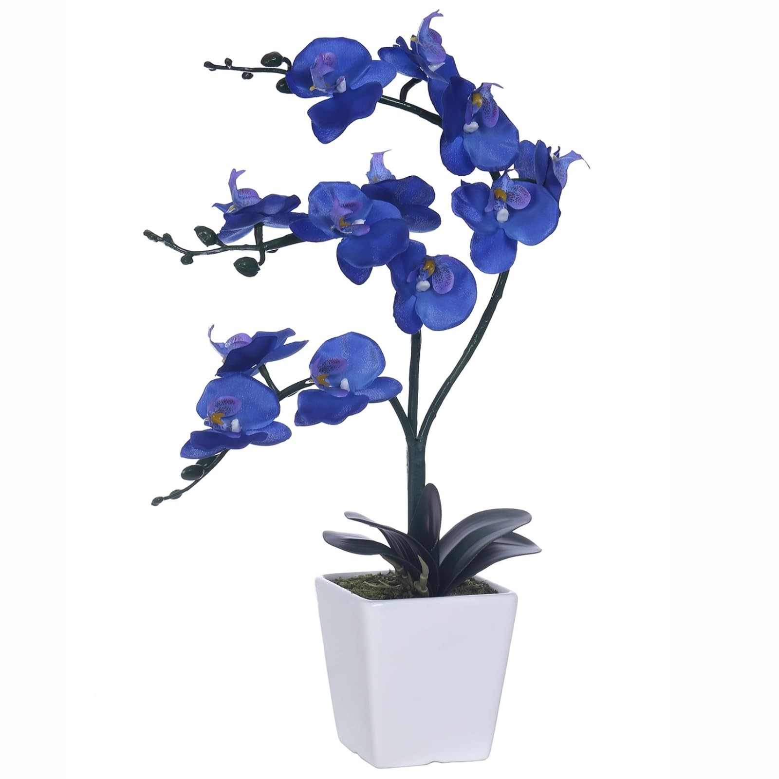 Artificial Silk Phalaenopsis Orchid Flower Plant Pot Navy Blue 15 Inch