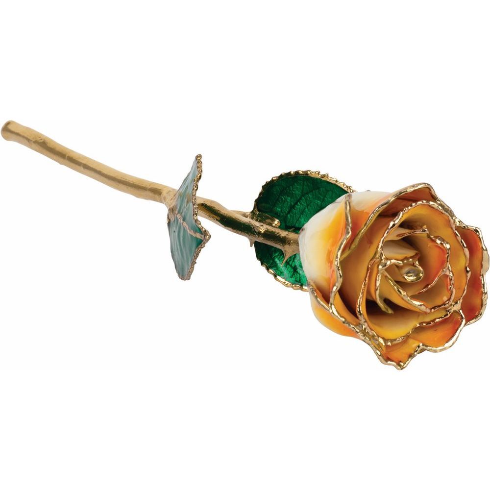 24k Gold Dipped Cream Orange Lacquer Real Rose Valentine’s Day Holiday Gift