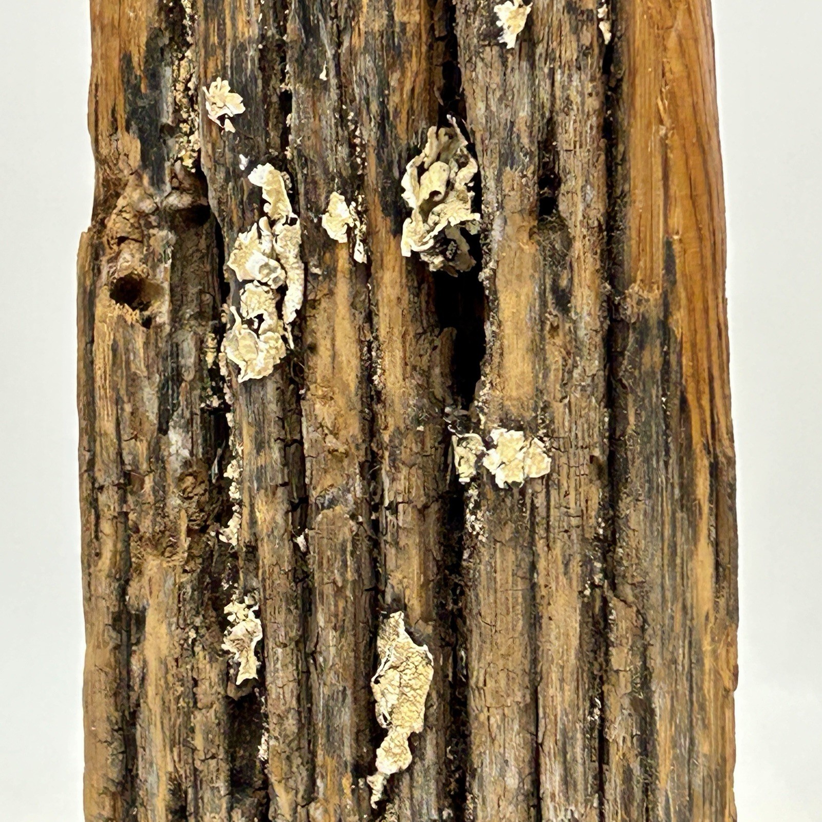 10¼″ Rustic Reclaimed Fence Post Wooden Dry Bud Vase 3-Sided Lichen 70s-80s VTG