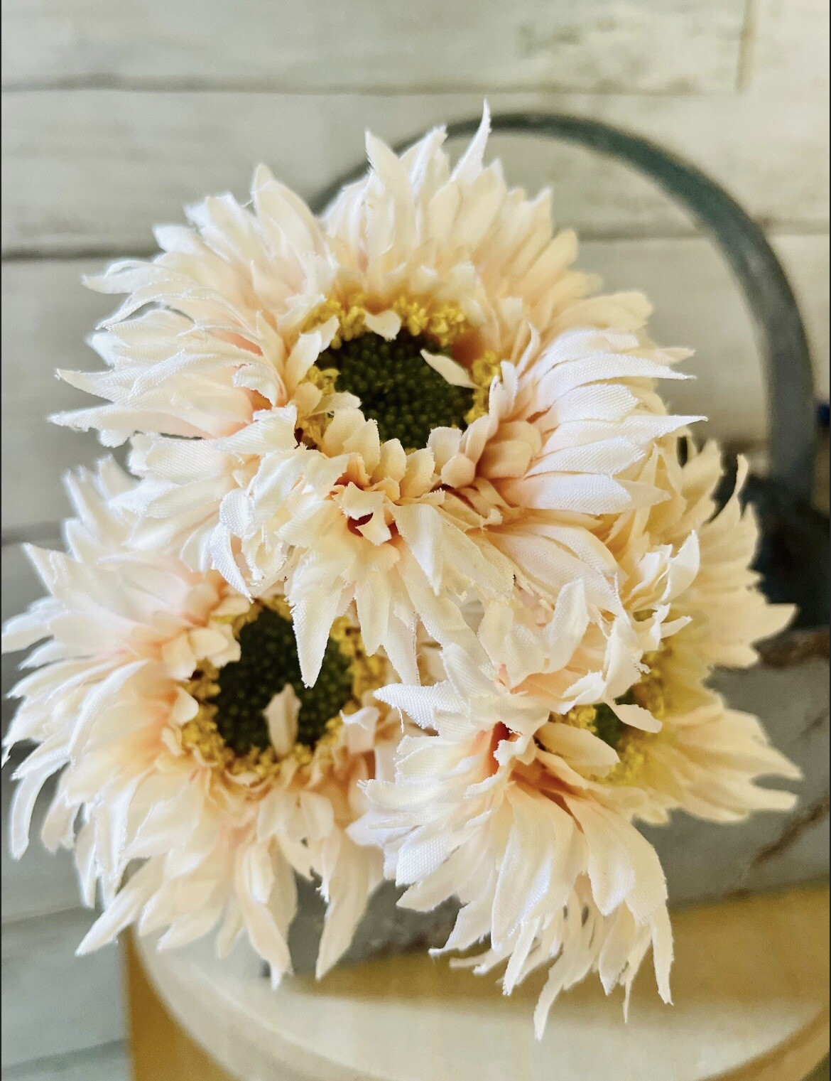 Triple Gerbera Daisy Bouquet, Cream Pink NEW