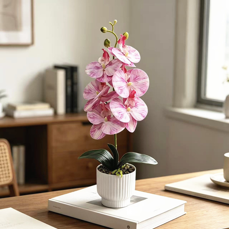 42cm Phalaenopsis Orchid Fake Flower Plastic Stem with Natural Texture