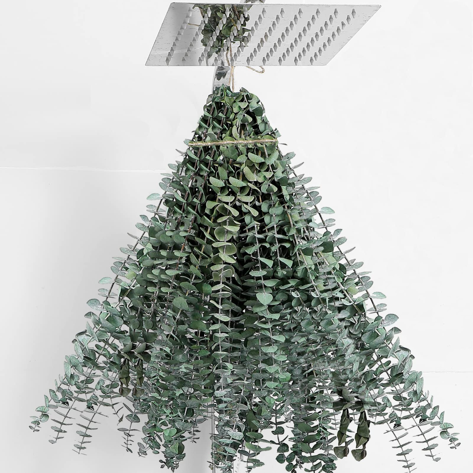30 Pcs Dried Eucalyptus Stems 17″ Real Natural Decor for Weddings, Showers, DIY
