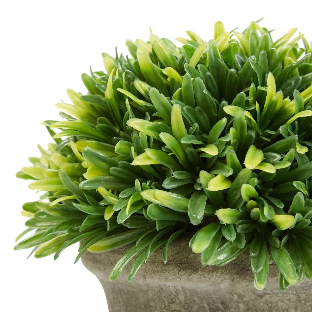 7.5 In. Artificial Podocarpus Grass Plant in Concrete Pot (Set of 3)