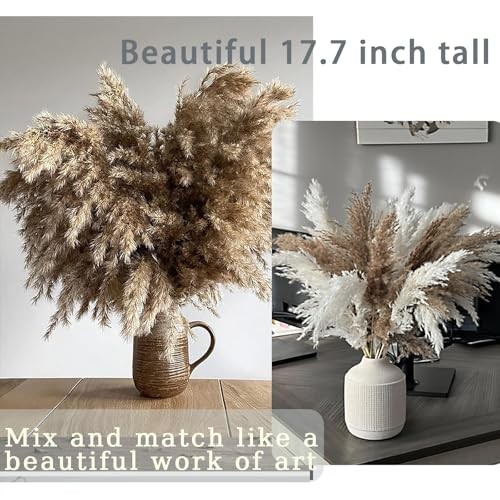 30 Stems Home Decor – Natural Dried Pampas Grass, Fluffy Brown 30brown-17 Inch
