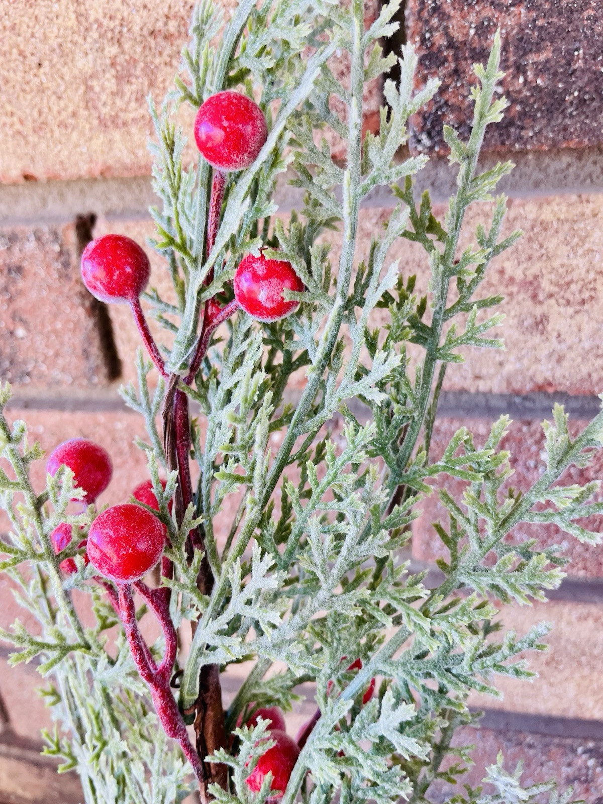 Snowy Cedar & Sugar Berry Spray