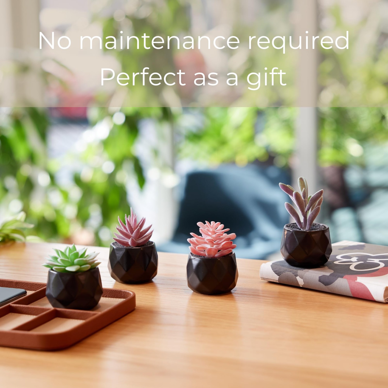 Nordik Set of 4 Desk Plants – Geometric Round Black Pots – Perfect for Bathro…