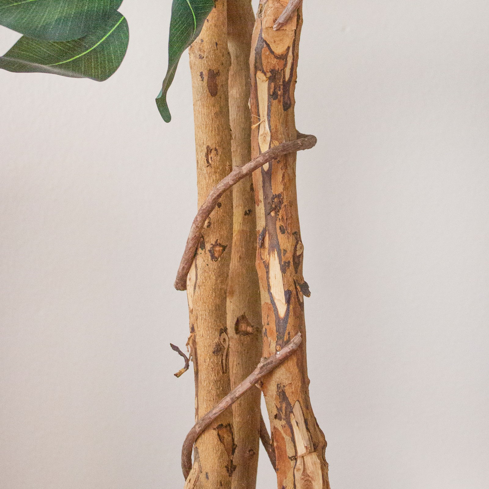 Nearly Natural 84″ Ficus Silk Tree with Natural Trunk & 1260 Leaves Green/Black