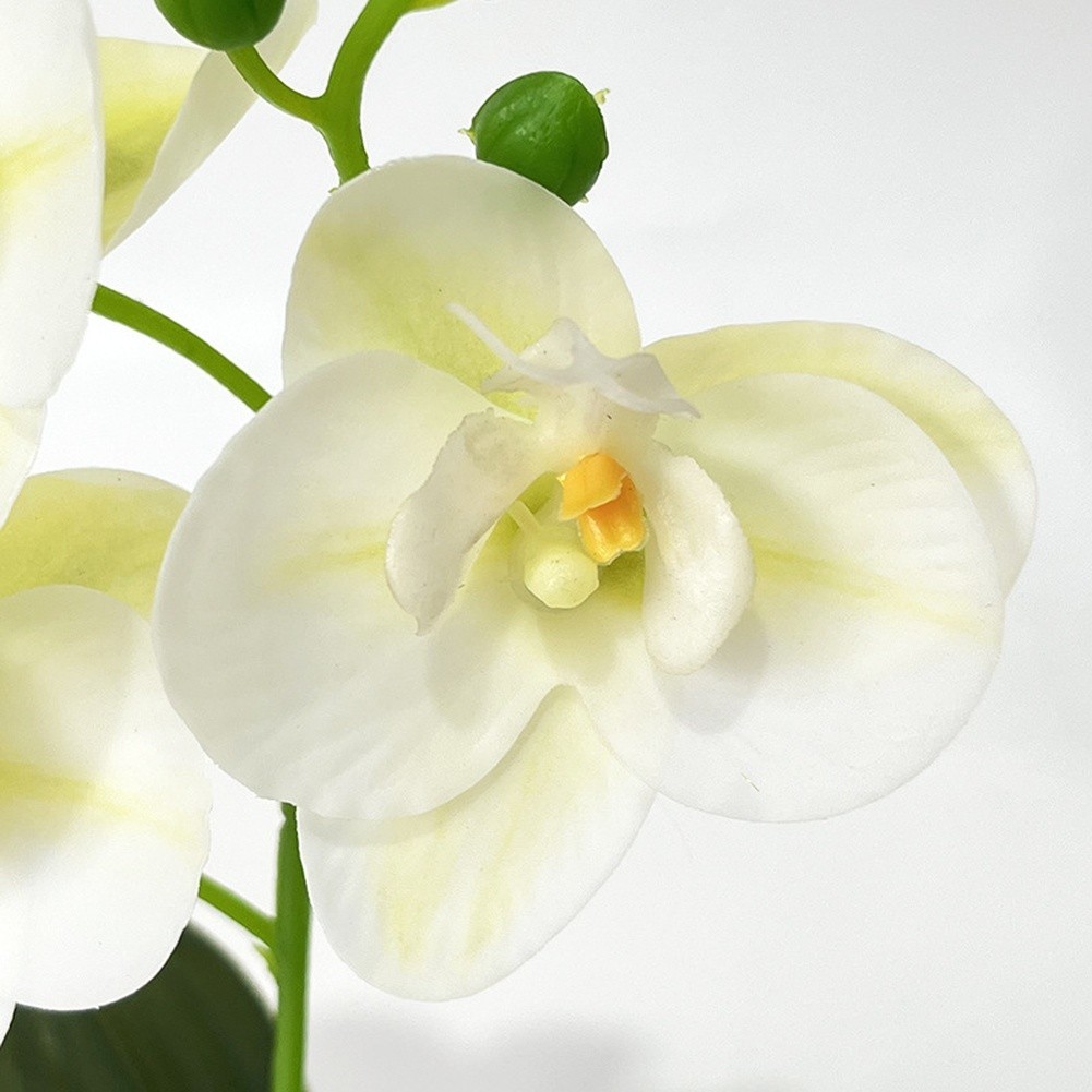 White Green Yellow Red Purple Artificial Orchid Potted Plant Nordic Modern 24cm