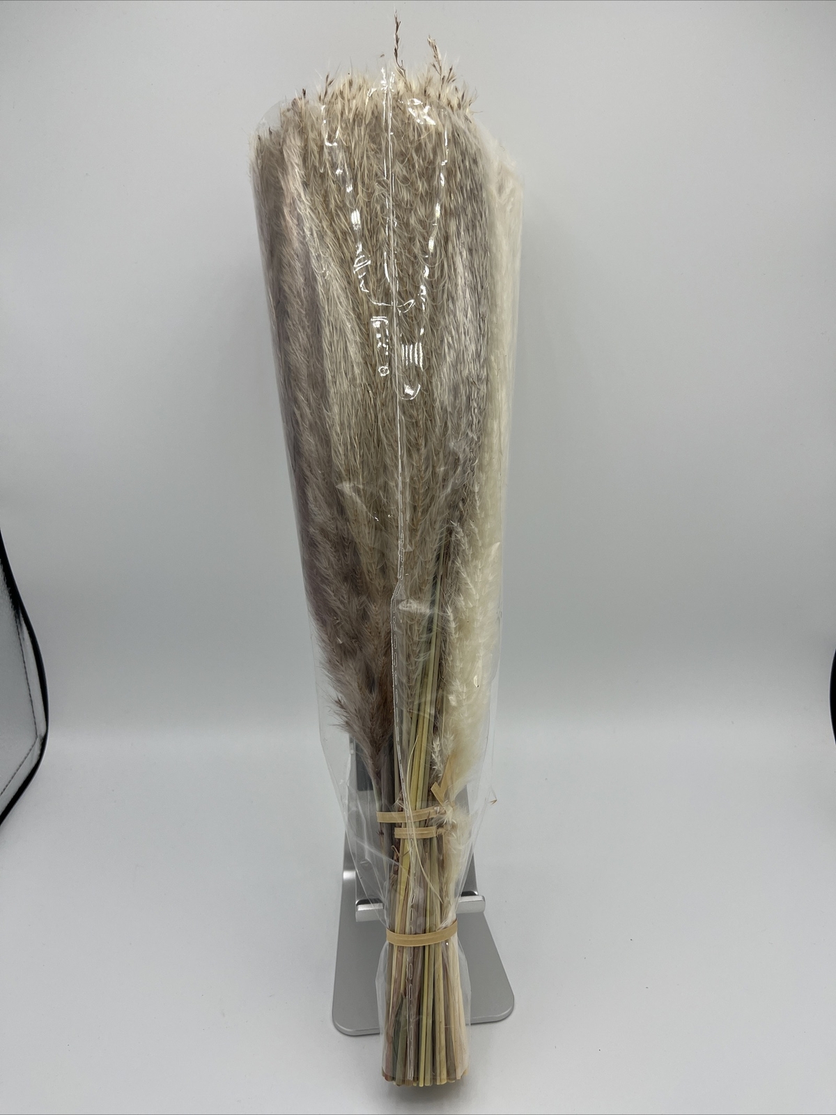 Pampas Grass 85-Pcs Dried Grass Decor NEW Free Ship