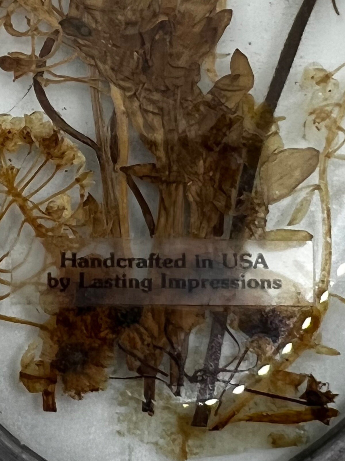 Lasting Impressions Real Pressed Flowers in Glass w/ Oval Metal Frame Suncatcher