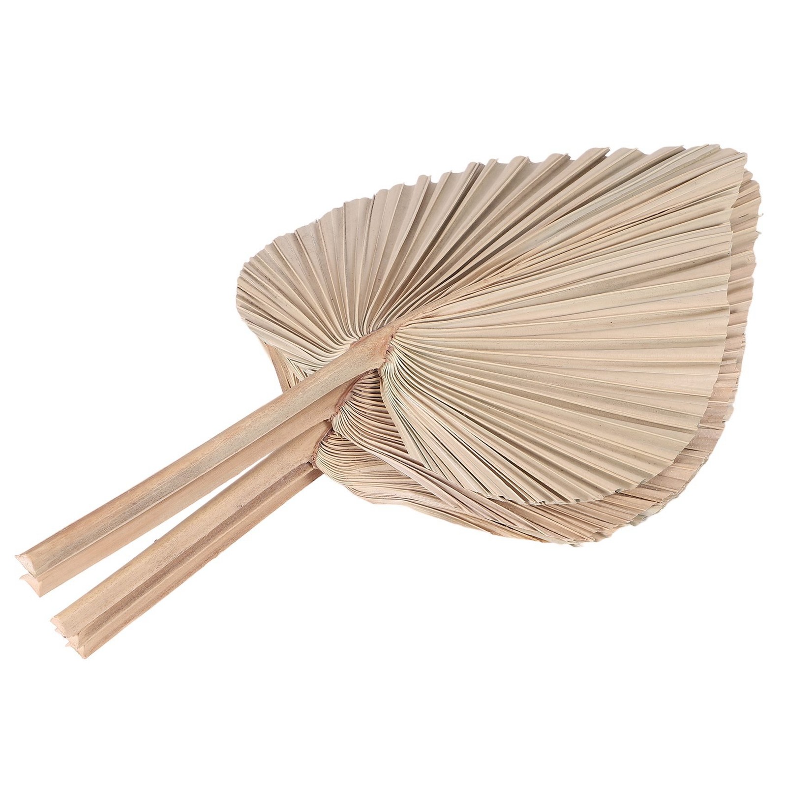 Dried Palm Leaves Room Decor 5 Pieces – 18Inch H x 10Inch W Natural Palm9330
