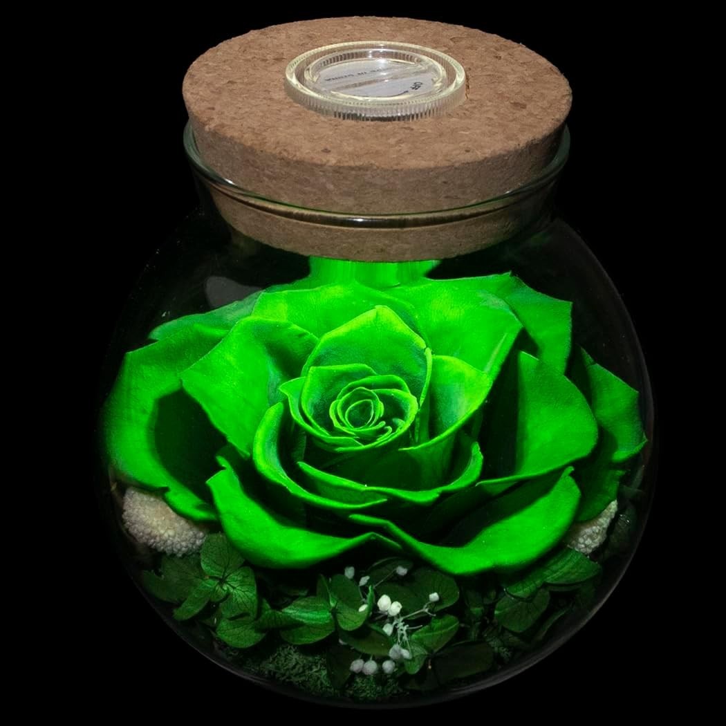Never Withered Flower in Glass Bottle with Colorful Mood Lights – Indoor Decor