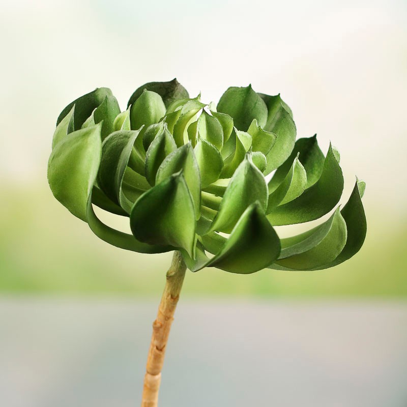 Package of 2 Artificial Indoor/Outdoor Succulent 6-1/2″ Picks