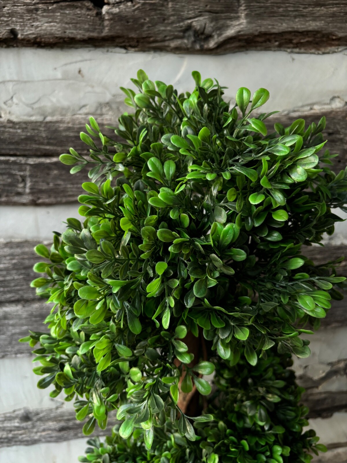 Wildwood & Cypress 48” Realistic Spiral Topiary Boxwood Tree Outdoor Use Faux