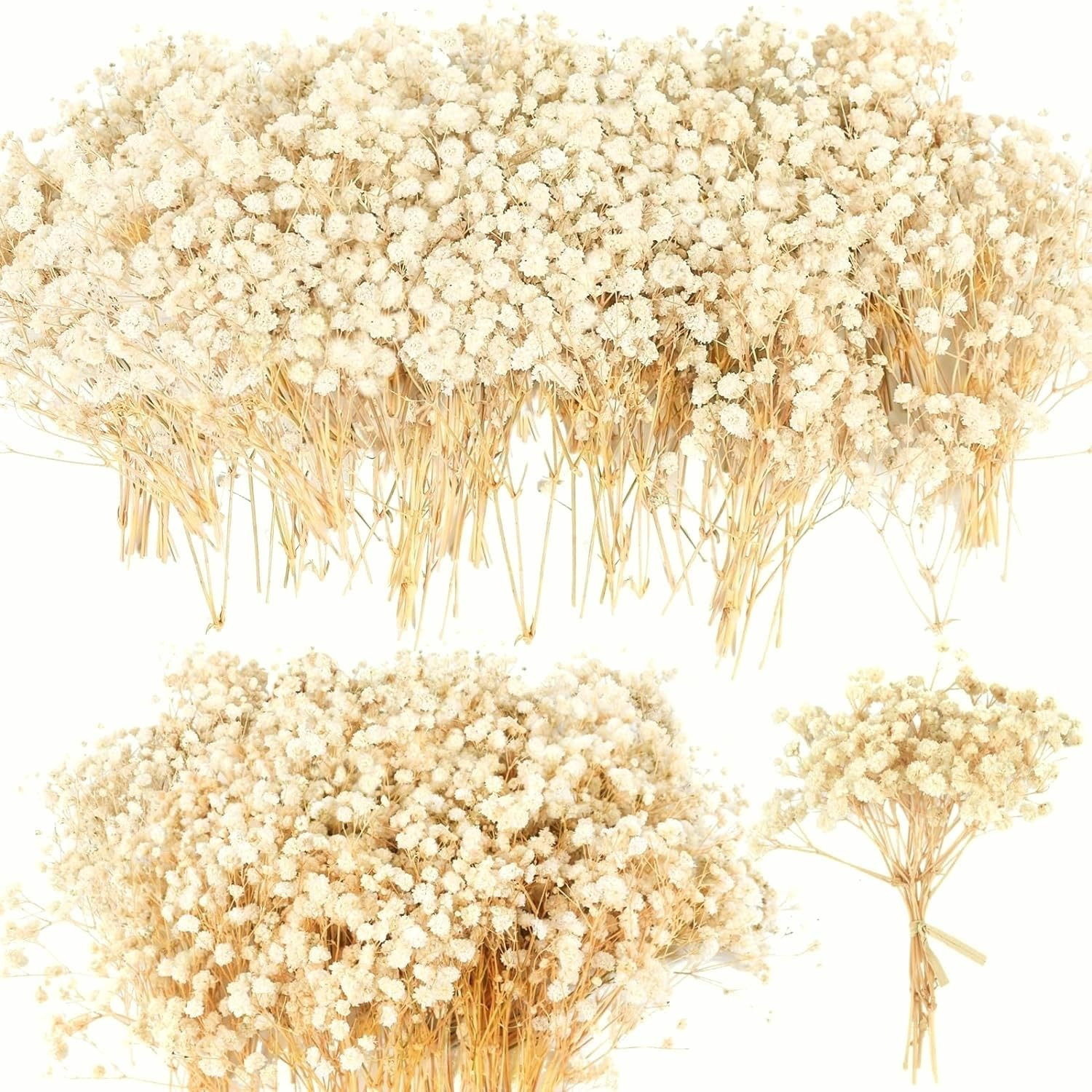 6000+ Mini Dried Baby’S Breath Flowers, 100 Pcs Ivory White Gypsophila, 6In | Mi