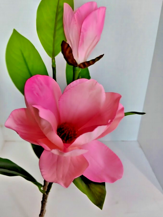 Magnolia stem bush PINK