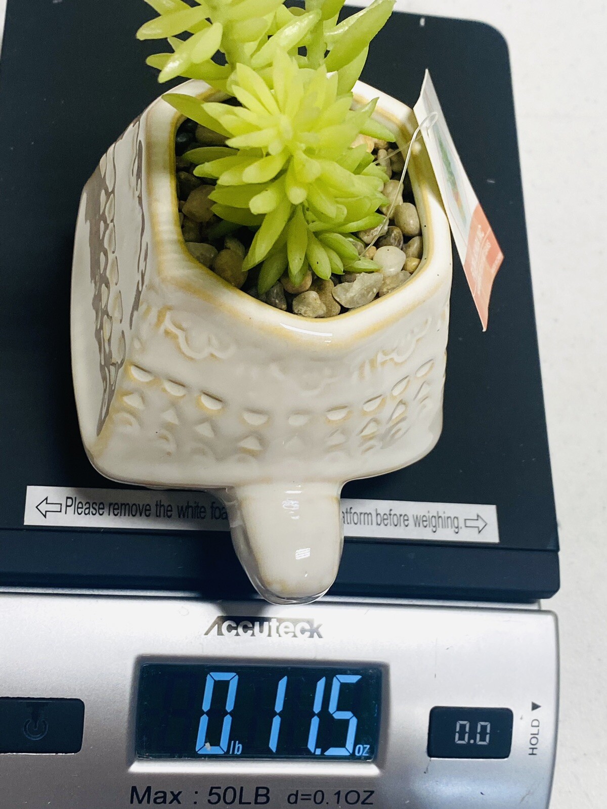 Turtle Ceramic Planter Artificial Succulent Flora Bunda NWT