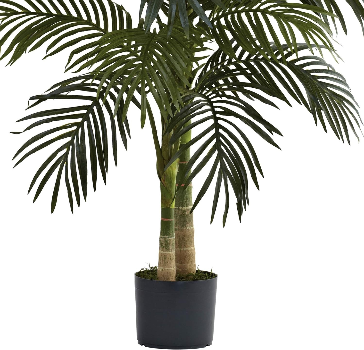 Portable 4ft Golden Cane Palm Tree – Ideal Decorative Accent for Home and Office