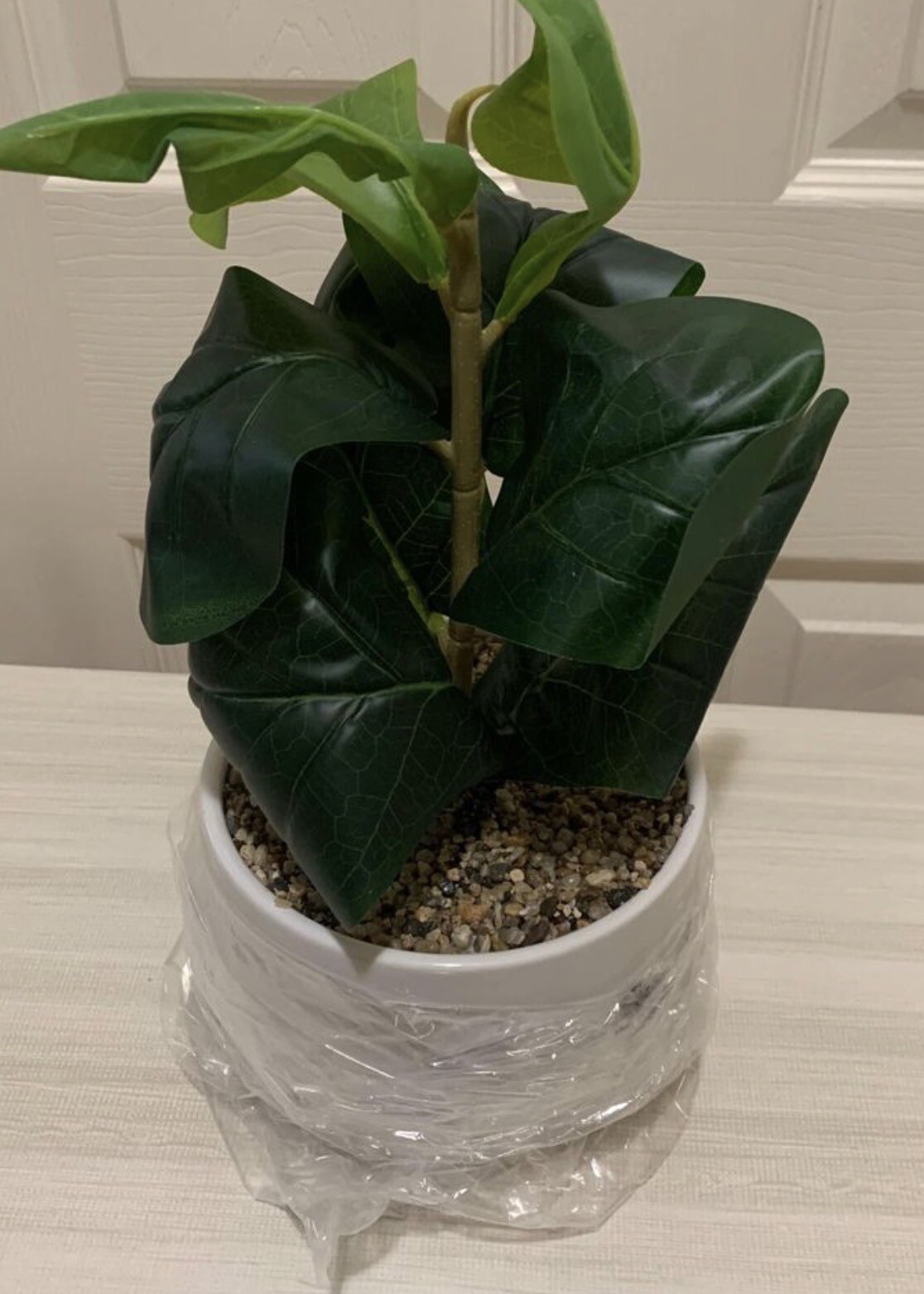 New 13 Inch Artificial Potted Faux Fiddle Leaf Plant with White Graveled Pot