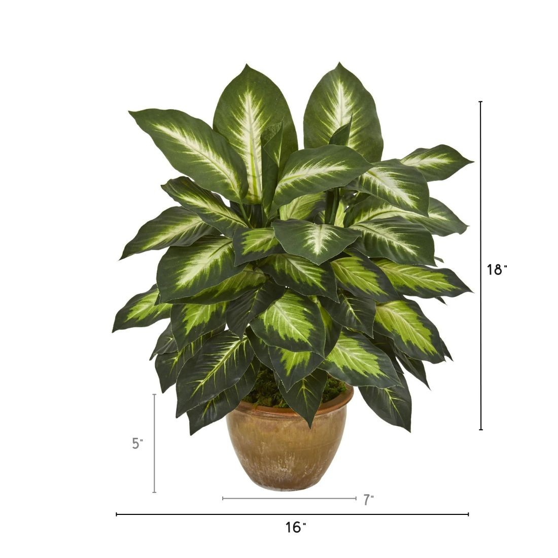18″ Dieffenbachia Artificial Plant in Ceramic Planter