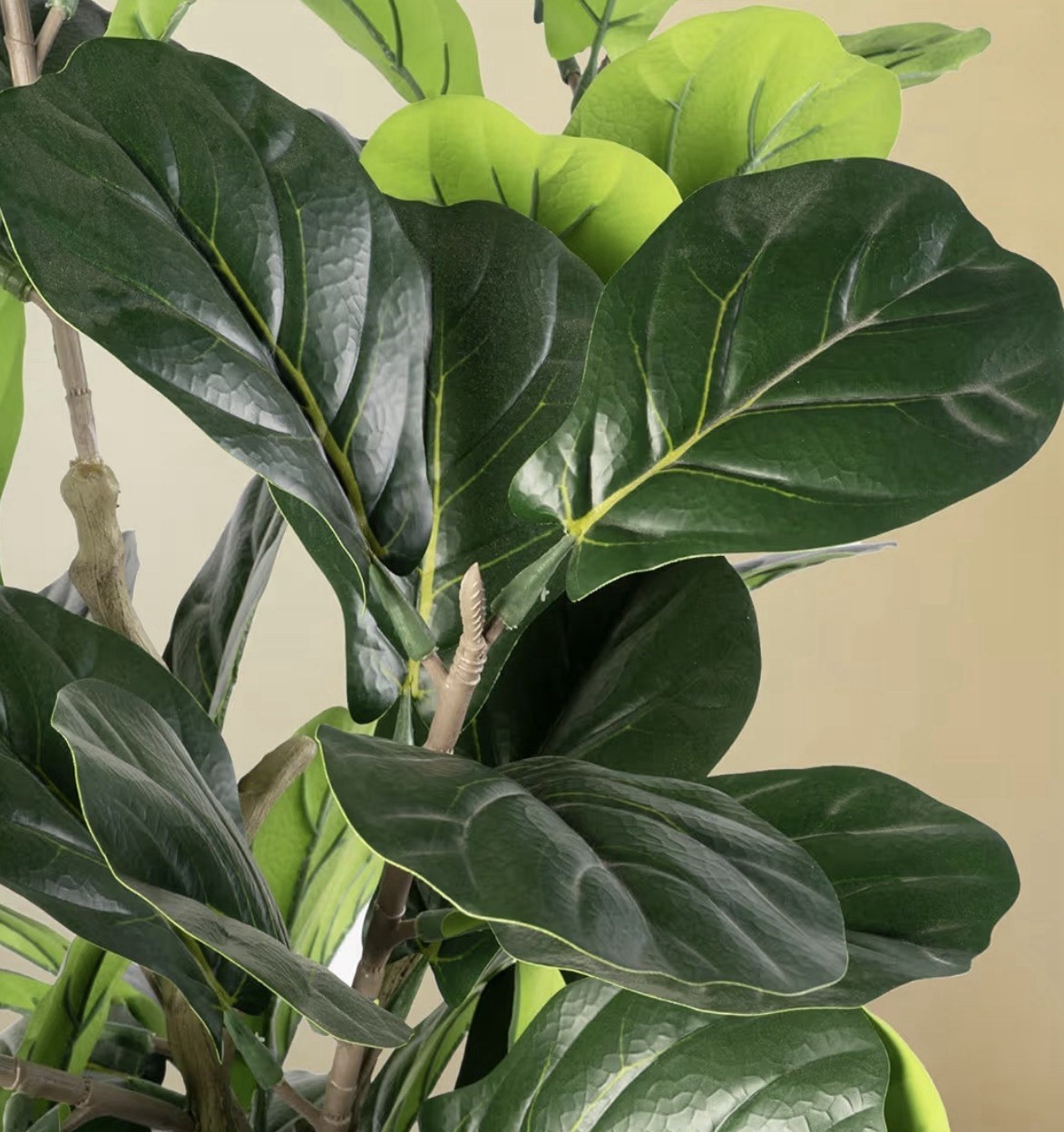 Wildwood & Cypress 60” Realistic Olive Tree Variegated Foliage Faux Indoor Plant