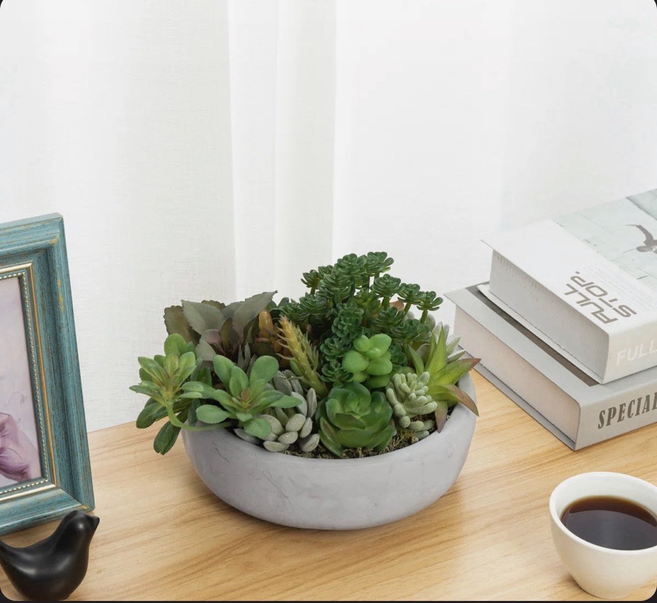Primrue Benita 7″ Faux Succulent Plant in Cement Pot