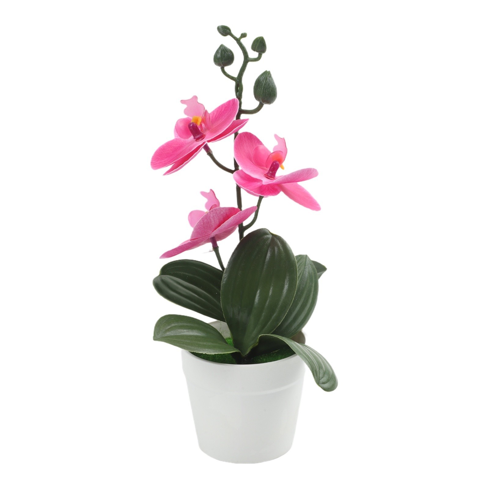 Phalaenopsis Bonsai Decorative Faux Plant Table Decoration Long-lasting Beauty