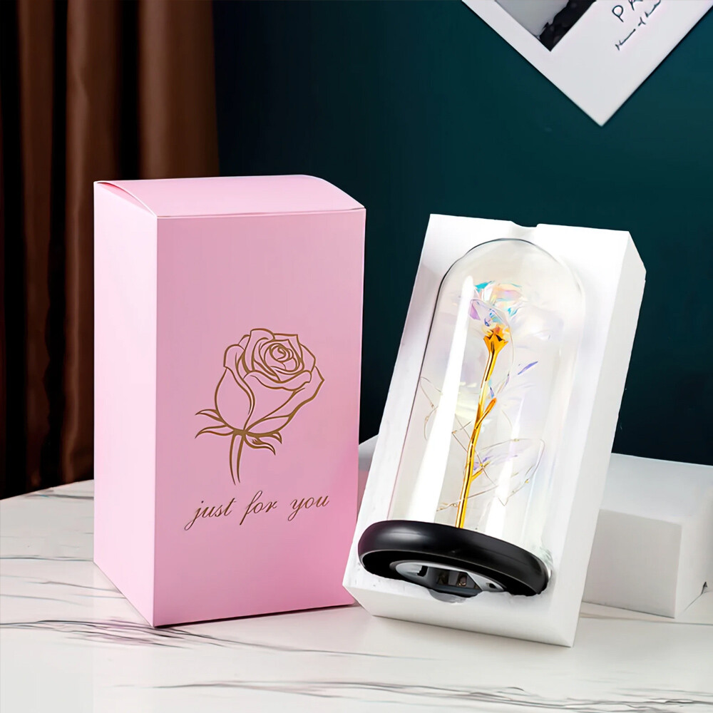 Preserved Forever Valentines Day Flower Gifts for Her Glass Light Up Rose Gifts