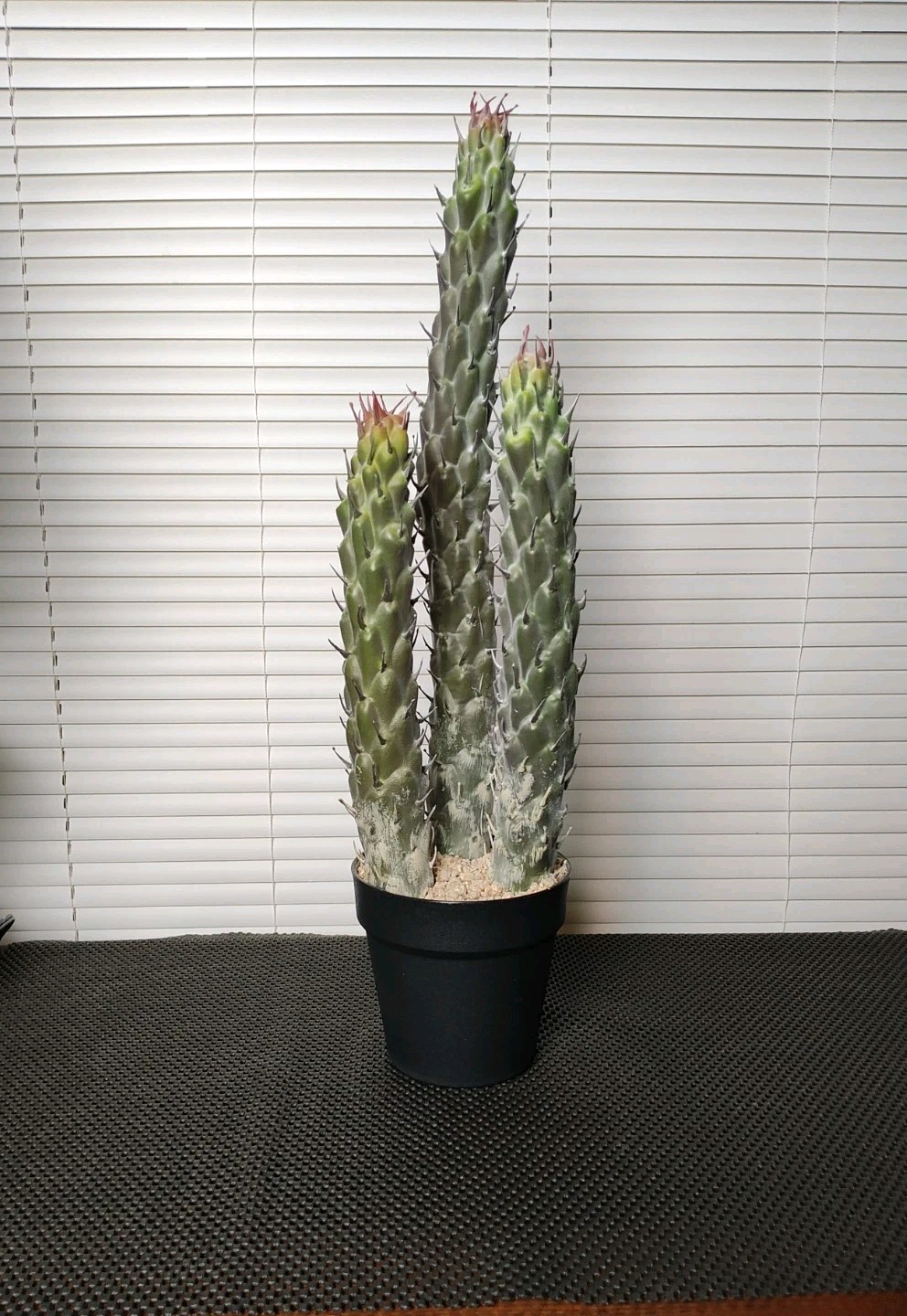 22″ Succulent Cactus Realistic Artificial Plant Home Office Decor Brand New