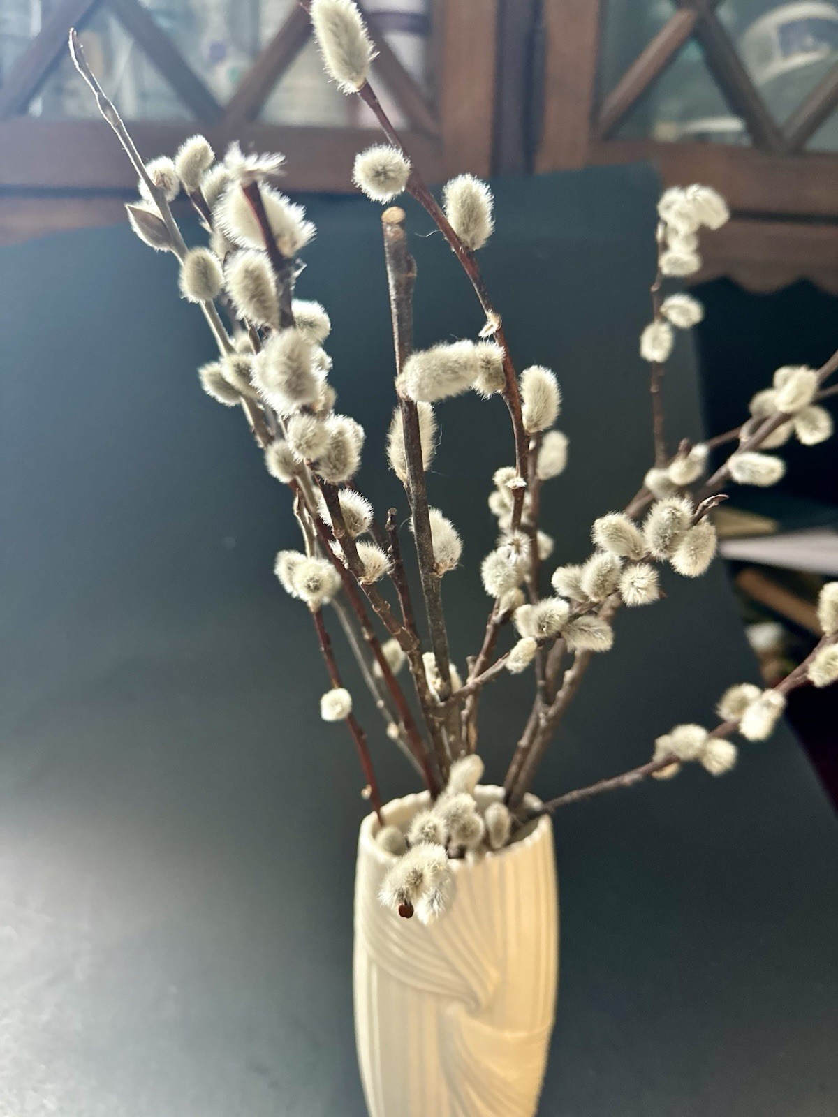 Real dried Pussy Willow Spring Flowers length 12-16” – 6 Stems Natural decor
