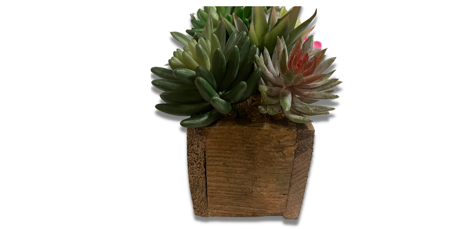 Artificial Succulent Plant Arrangement in Rustic Wood Planter – 18in or 24in