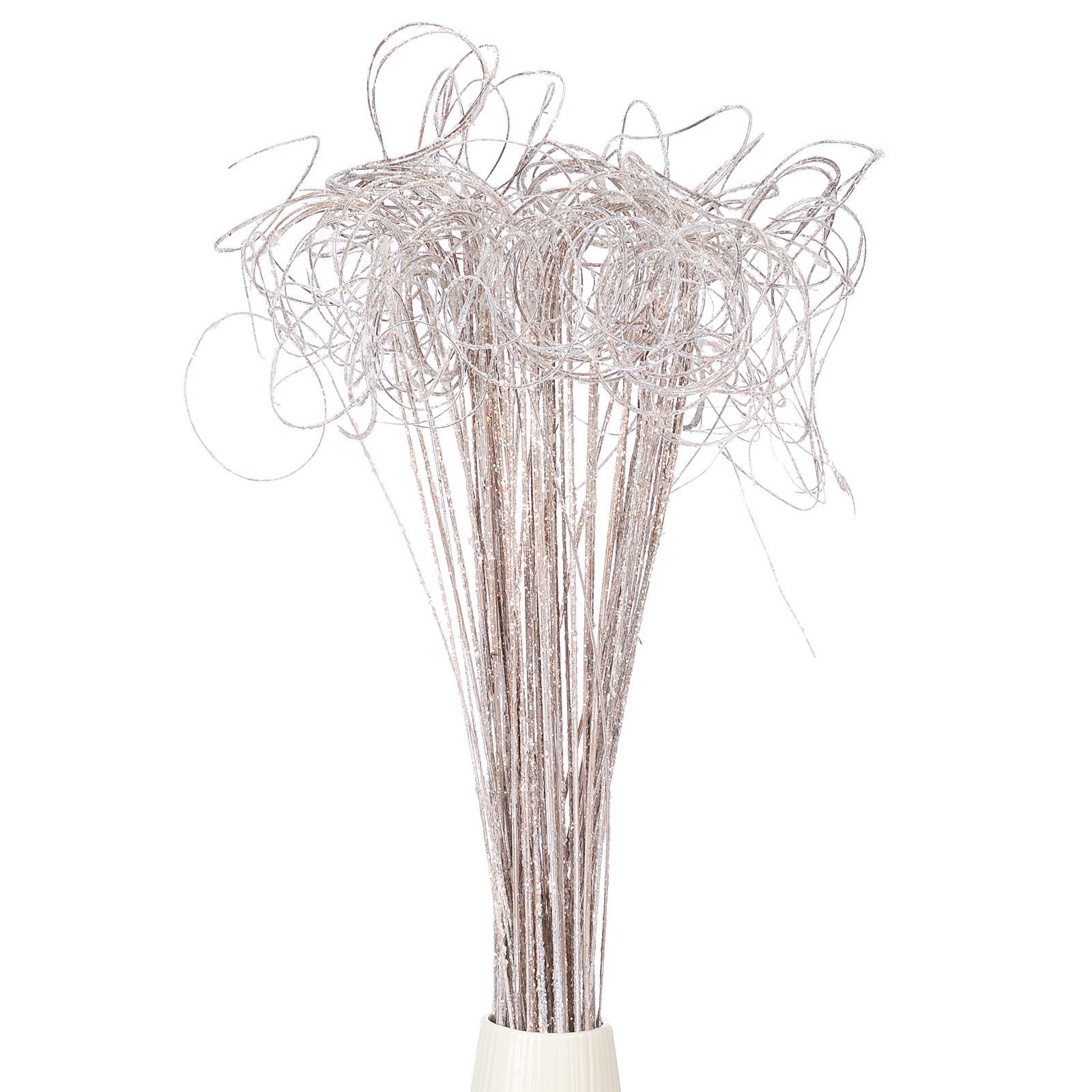 60 Pcs Glitter Dried Curly Willow Branches Natural Branches Twigs, White