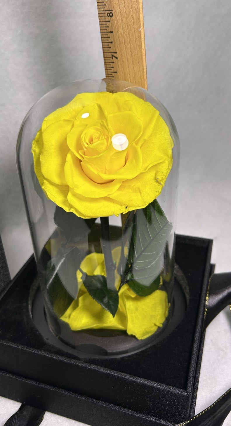 NATROSES Yellow Natural Preserved Rose in Glass Dome & Black Gift Box 7.5″H x 4″
